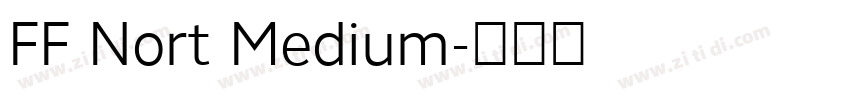 FF Nort Medium字体转换